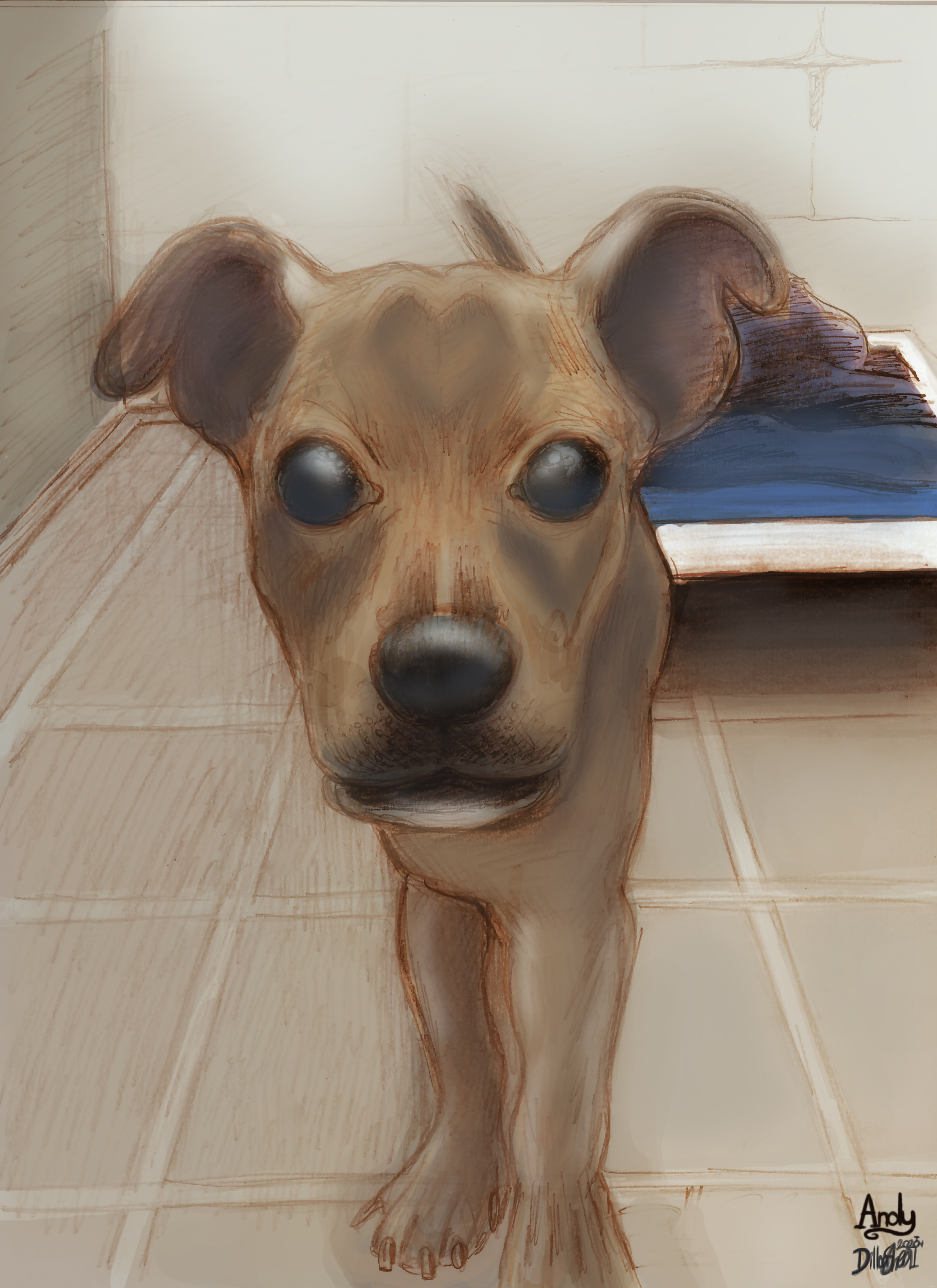 Andy the Jerk Dog